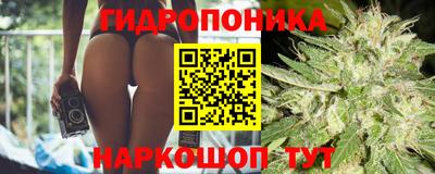 2c-b Абакан