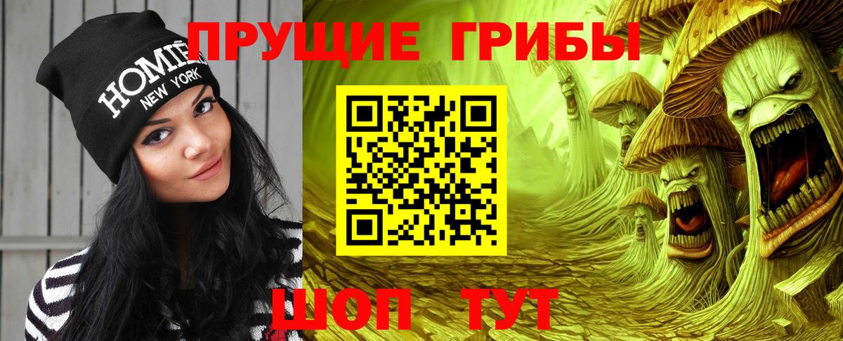 Астрахань  Галлюциногенные грибы Psilocybine cubensis  Галлюциногенные грибы ЛСД  Вход с VPN 
